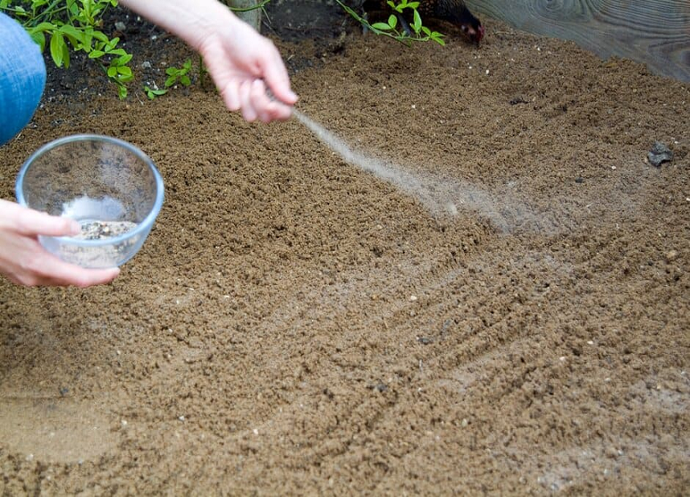 Manufacturer, Exporter, Importer, Supplier, Wholesaler, Retailer, Trader of Germination Sand in Secunderabad, Telangana, India