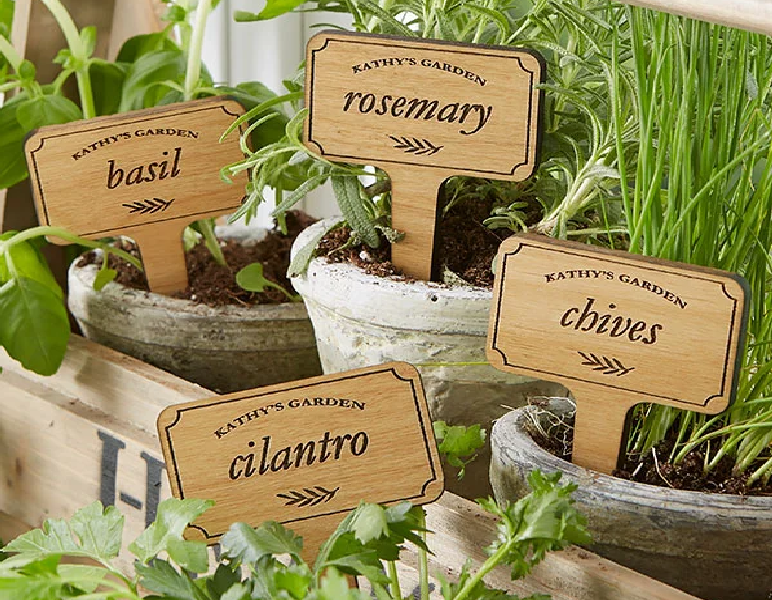 Manufacturer, Exporter, Importer, Supplier, Wholesaler, Retailer, Trader of Plant Labels in Secunderabad, Telangana, India