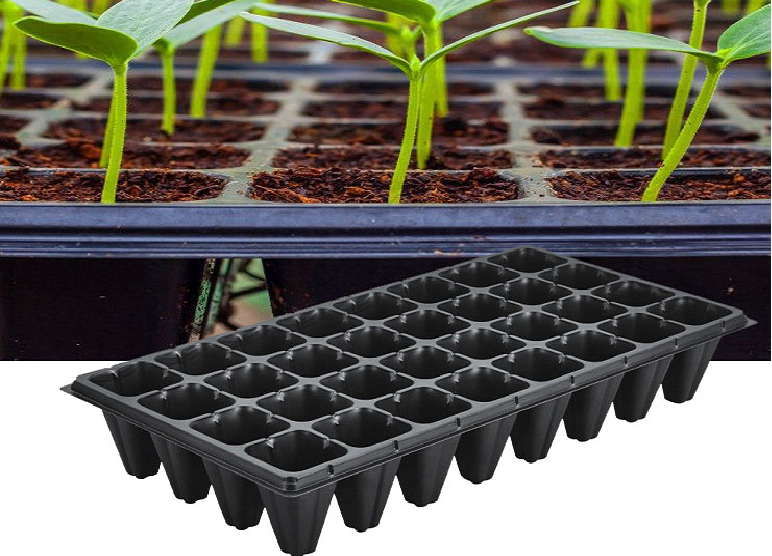 Manufacturer, Exporter, Importer, Supplier, Wholesaler, Retailer, Trader of Spacing Tray in Secunderabad, Telangana, India